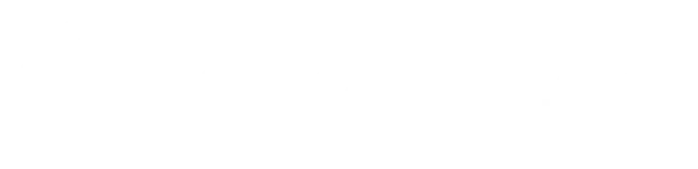 Logo Company White